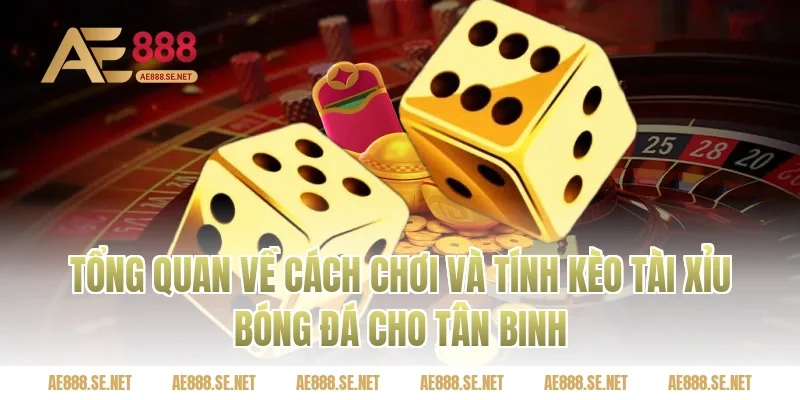 Tổng quan về cách chơi và tính kèo tài xỉu bóng đá cho tân binh